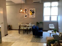 Ritz @ Farrer (D8), Apartment #529477801